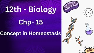 Homeostasis Introduction  Concept in homeostasis overview full explained in urdu hindi  class 12 [upl. by Aneeles34]