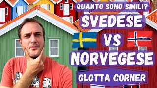 SVEDESE vs NORVEGESE Sono simili  Glotta Corner 2 [upl. by Ramyaj]