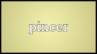 Pincer Meaning [upl. by Yldarb305]