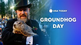 Watch Groundhog Day 2023 Phil predicts 6 more weeks of winter  USA TODAY [upl. by Mccully]