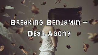 Breaking Benjamin  Dear Agony Acoustic CoverLyricsKaraoke [upl. by Kcirdor745]