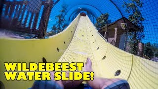 Wildebeest Water Slide POV Holiday World amp Splashin Safari Santa Claus Indiana Water Coaster [upl. by Noemad]