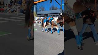 Parade recap💖horse equestrain trickriding stuntrider parade fypシ゚ subscribe viralshort [upl. by Nnairac572]