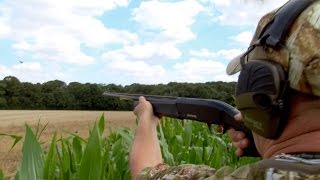 The Shooting Show  maize crop pigeons with Geoff Garrod [upl. by Ociredef]