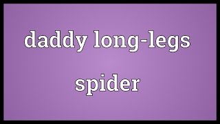 Daddy longlegs spider Meaning [upl. by Akiemehs]