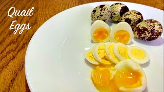 How To Boil Perfect Quail Eggs  Soft to Hard Boiled Guide [upl. by Hengel685]