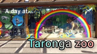 Taronga Zoo Sydney Australia  Walking Tour [upl. by Annait]