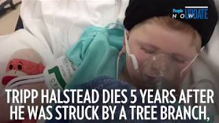 Tripp Halstead Dies 5 Years After He Was Struck by a Tree Branch Leaving Him with Brain Injury [upl. by Poulter22]