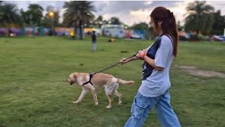 A beautiful evening with family at Eco Park [upl. by Adeehsar]