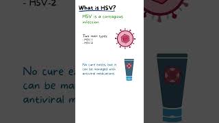 HERPES SIMPLEX VIRUS EXPLAINED [upl. by Suelo]