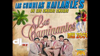 LOS CAMINANTES 🔥CUMBIAS TROPICALES 🔥MIX 2024 [upl. by Pepillo]