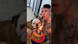 EL GORDO FALCIONI 😂🐷❤️ EN LOS 10 AÑOS DEL VIEJO 👴🏻 ROCKY 🐶👹 argentina parati humor viral [upl. by Jensen712]