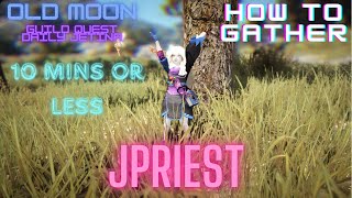 HOW TO GATHER IN BDO  OLD MOON EVENT JETIAN SEALS [upl. by Eniamrehs]