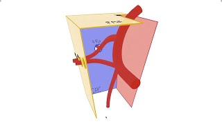 Pterygopalatine Fossa  Anatomy Contents and Borders [upl. by Tnecniv]