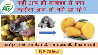 Ripening of Mango by Calcium Carbide Masala is dangerous amp deadly [upl. by Aicilat454]