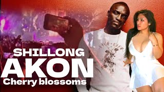 PYNSHOH BEIJ U AKON HA CHERRY BLOSSOM FESTIVAL PEIT JIA AIU PAT Beautiful Cherry Blossom Festival [upl. by Nessah]