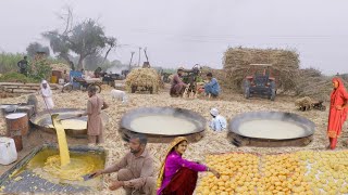 Most Beautifull Village Life in PunjabOrganic Jaggery Making ProcessPrimitve Village Life Punjab [upl. by Imoyaba]