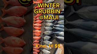 Released half of 80 fish caught grubbin’ IT’S SO MUCH FUN dropshot jigging maui [upl. by Chasse628]