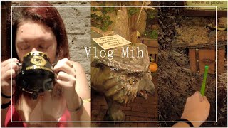 ✨️VLOG MIH 4✨️Visitando o Restaurante Temático de 🧙🏼‍♂️ Harry Potter  Beco Hexagonal 🧙🏼‍♂️ [upl. by Krysta271]