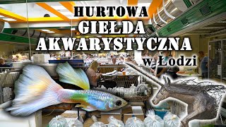 HURTOWA Giełda Akwarystyczna w Łodzi [upl. by Balkin]