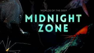 Into the Midnight Zone Secrets of the Ocean Void [upl. by Nylidnam216]