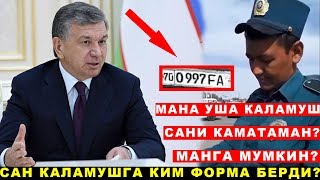 БУ ЙПХ ГАИ ХОДИМИ ШАВКАТ МИРЗИЁЕВНИ КАРОРИНИ БИР ТИНГА ОЛМАС ЭКАН [upl. by Joshuah]