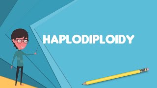 What is Haplodiploidy Explain Haplodiploidy Define Haplodiploidy Meaning of Haplodiploidy [upl. by Laureen]