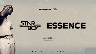 Wizkid  Essence Lyrics Video ft Tems [upl. by Grae845]