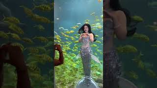 bollywood music song newsong bollywoodsongs mermaid beautiful hindisongs midjourney [upl. by Carder]