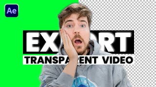 How to Export Transparent Video in After Effects [upl. by Siletotsira]