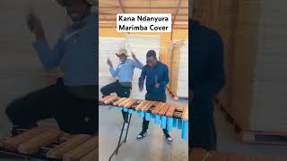 Killer T Kana Ndanyura Marimba Cover classic band marimba trancermk ​⁠KillerTVEVOkm3jx [upl. by Paz]