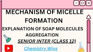 MECHANISM OF MICELLE FORMATION  SENIOR INTER CHEMISTRYsadhanadhananjaya chemistry [upl. by Emery]