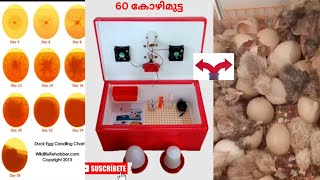 INCUBATOR 9544 211 110 ഇൻക്യൂബേറ്റർ വാങ്ങുവാൻ ആഗ്രഹിക്കുന്നവർ കാണുക Majeed [upl. by Retsbew359]