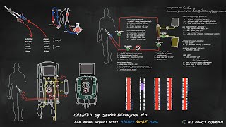 continuous dialysis circuit hemodynamics [upl. by Rurik]