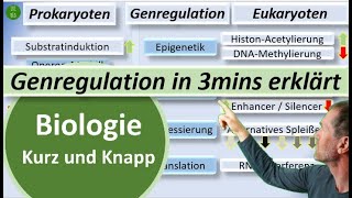 Genregulation bei Prokaryoten und Eukaryoten in 3mins erklärt  Biologie kurz und knapp  BioIxi [upl. by Geaghan768]