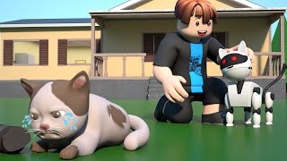 ROBLOX Brookhaven 🏡RP  FUNNY MOMENTS CAT FIGHT VS ROBOCAT  Roblox Master [upl. by Lancelle986]