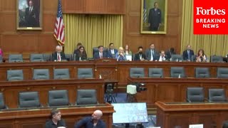 JUST IN Gender Confirmation Surgery For Minors Debated In House Judiciary Committee [upl. by Eelnayr974]