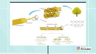 Nanocellulose as a Reinforcement Nanofiller in Epoxidized Natural Rubber Foam [upl. by Hermione]