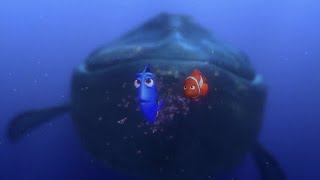 Dory talking whale scene Finding Nemo 2003 [upl. by Theodosia]