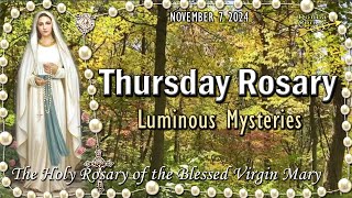 THURSDAY Holy Rosary🌹Luminous Mysteries Scenic Colorful Fall Leaves in the Forest [upl. by Lorrin]