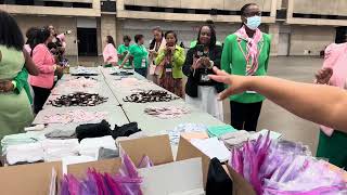 Alpha Kappa Alpha Sorority Incorporated packs a punch in service [upl. by Allez176]