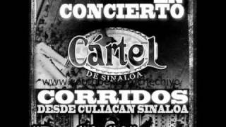 CORRIDO DE SERGIO GRUPO CARTEL [upl. by Sevik662]