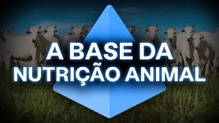 A base da nutrição animal [upl. by Elleinnad940]