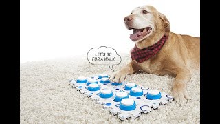 Recordable Pet Training Buttons [upl. by Annailuj]