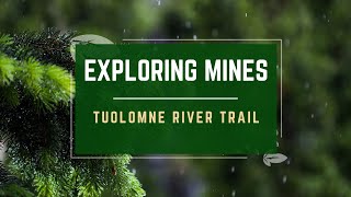 Tuolumne River Mine Trail [upl. by Kela]