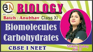 BIOMOLECULES L1 CARBOHYDRATE CLASS XI BIOLOGY NEET 2025 [upl. by Iadrahs632]