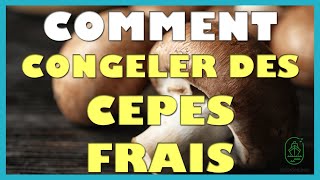 Comment congeler des cepes frais [upl. by Kenton]