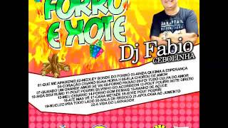 CD FORRO amp XOTE  DJ FABIO CEBOLINHA DA 99 FM [upl. by Airbas]