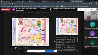 Clase de Medicina Interna Patologia Tiroidea  UdeC 6to Semestre [upl. by Cuhp]