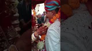 chakchakiyo tharo sahibo sista marrige rajwadi bannasa bannisa vivah kunwarsa [upl. by Suirtemed]